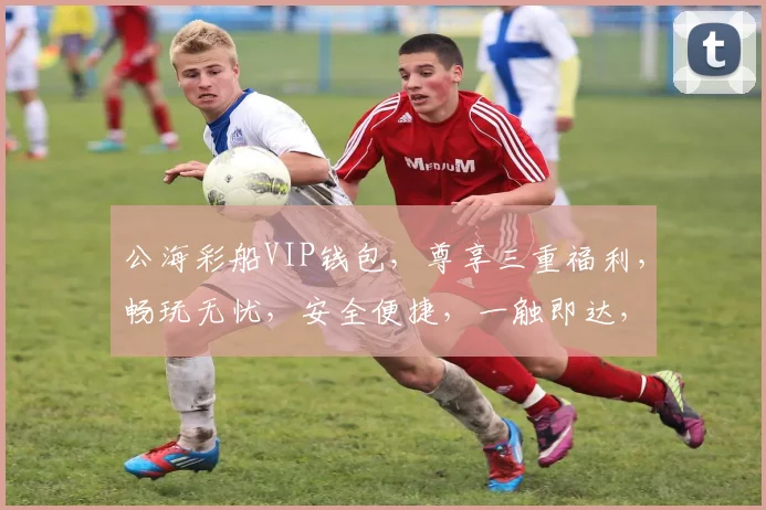 公海彩船VIP钱包，尊享三重福利，畅玩无忧，安全便捷，一触即达，体验非凡